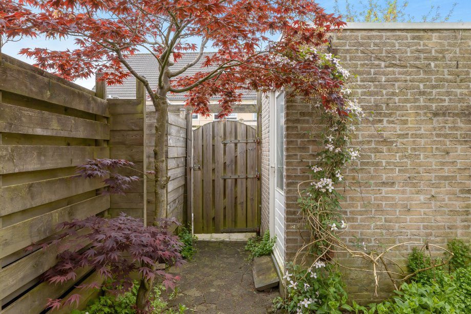 65034561_09-Achtertuin-03.jpg