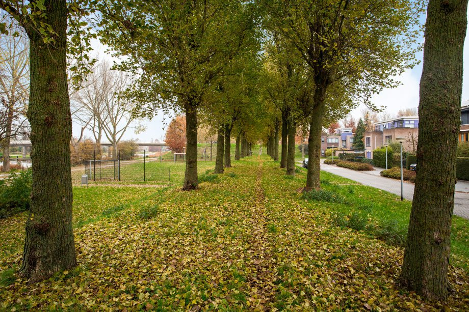 47848481_01-Vooraanzicht-05.jpg