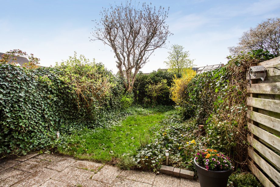 43746106_09-Achtertuin-01.jpg